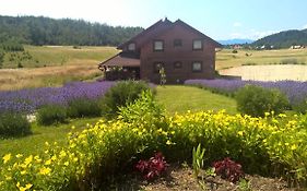 Boutique Hotel Japodi